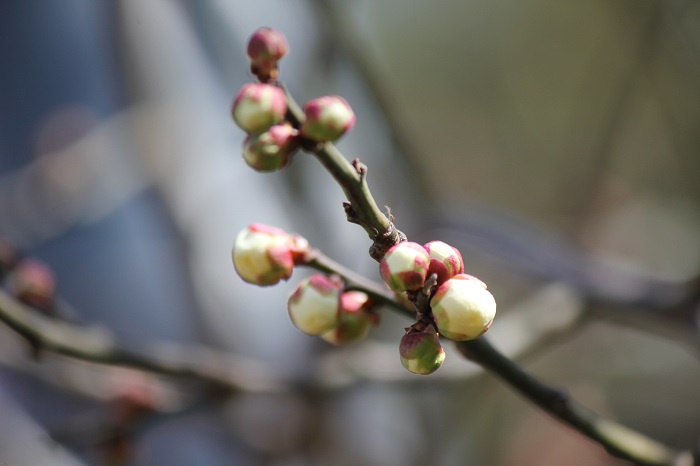 2015.2.133.jpg
