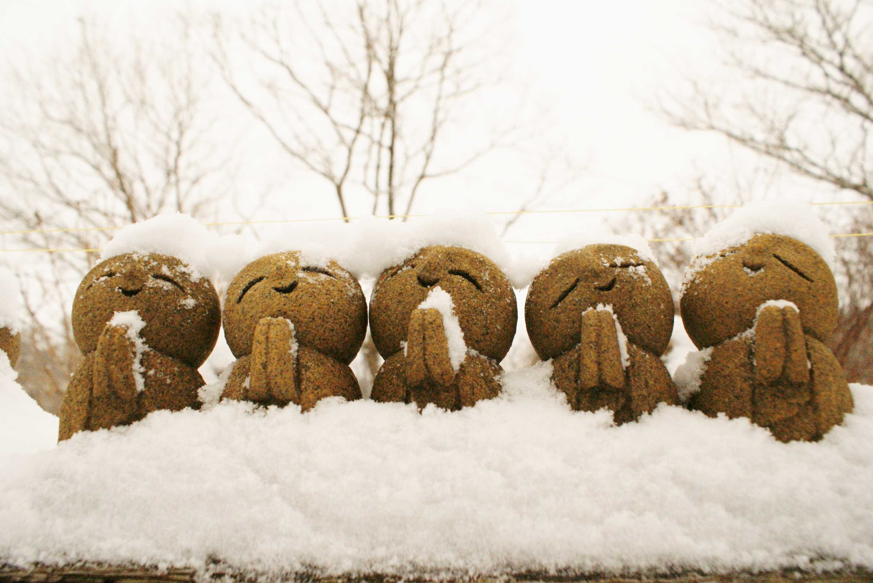 ふるふるの雪をかぶった石んこ地蔵さん。お子さんの誕生の記念に石んこ地蔵。メロンパン作りました。 | 川崎町の石んこ日記 ～石んこ地蔵とともに～ -  楽天ブログ