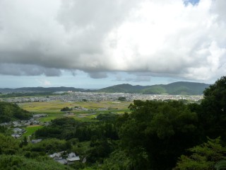 35.jpg