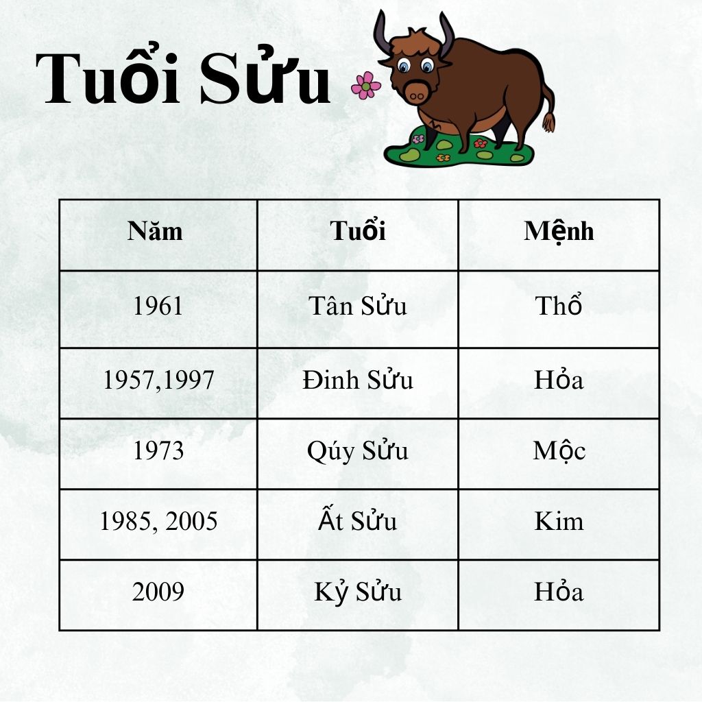 Số Tương Sinh Mệnh Hỏa: Tìm Hiểu Ý Nghĩa và Cách Ứng Dụng trong Cuộc Sống