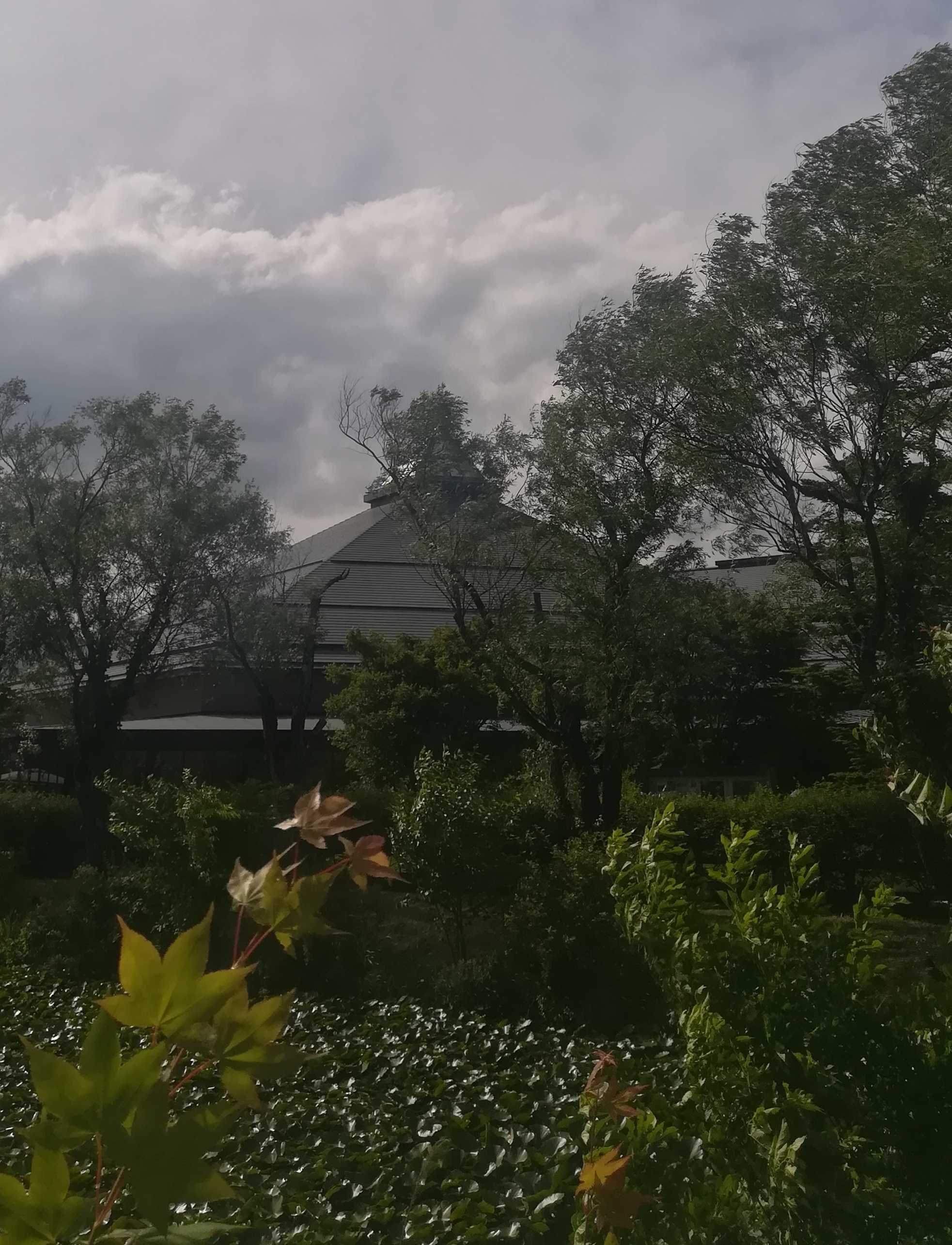 来生たかお Stand Alone 2025 Acoustic Tracks ノスタルジーへの誘い