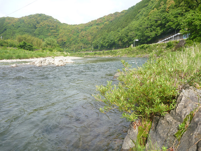 resize0006.jpg