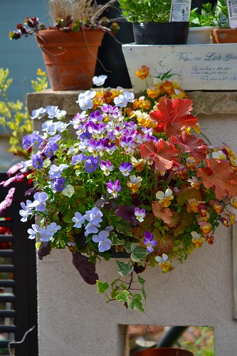 s-DSC_1241.jpg