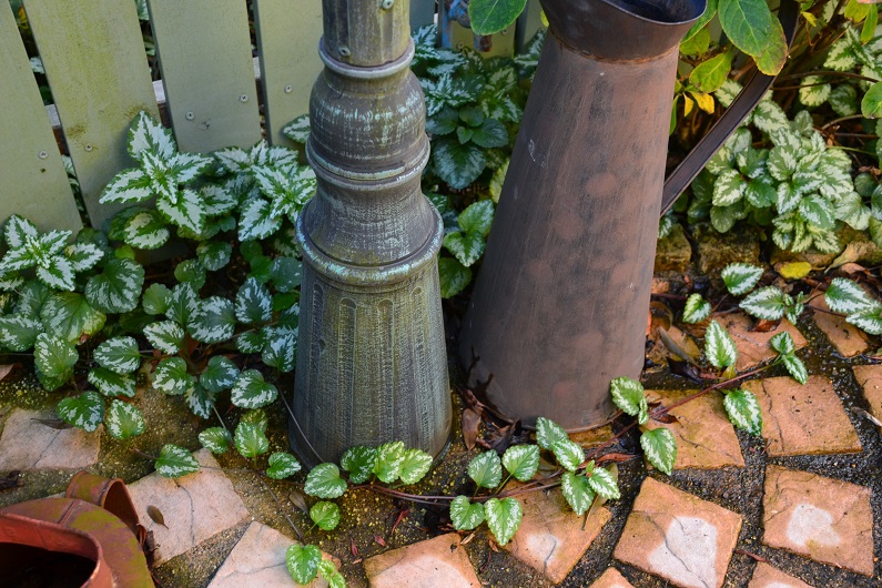 DSC_0378.JPG