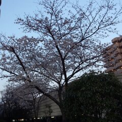 分4月6日 010.jpg