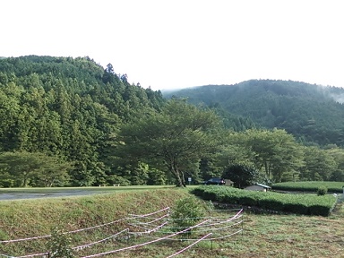 DSC_3244.JPG