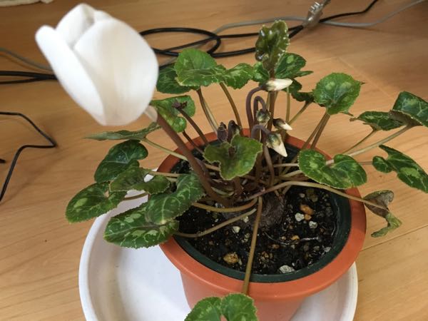rblog-20171012161737-00.jpg