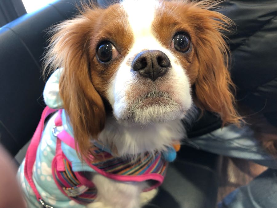 rblog-20190104100624-01.jpg