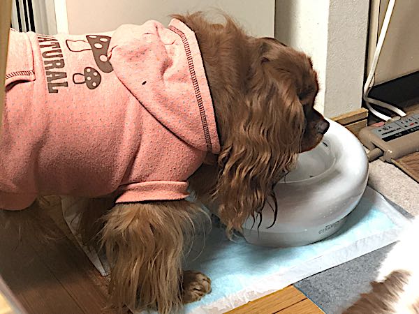 rblog-20180111080408-07.jpg