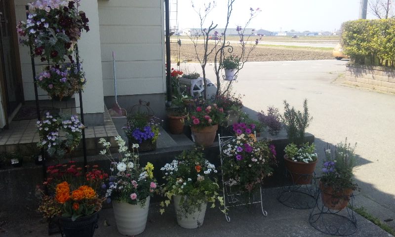 150425_1245~01.jpg
