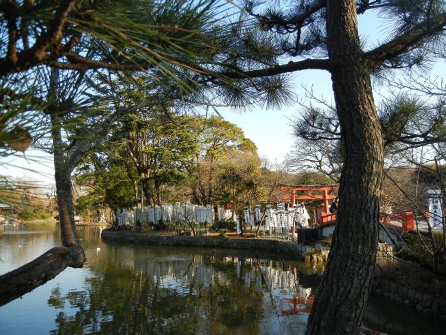 DSCN6799.JPG