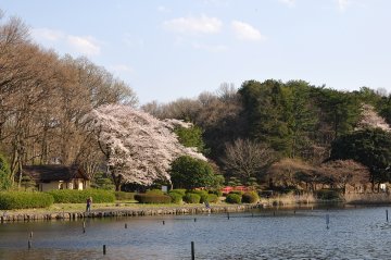 DSC_1893.JPG