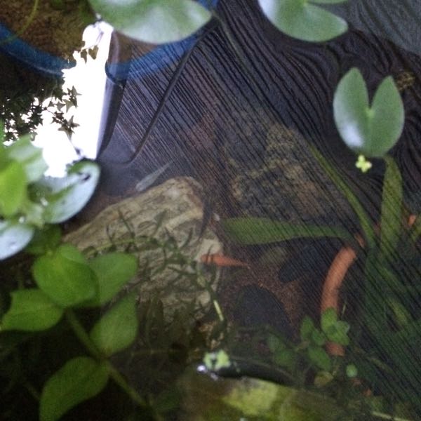 rblog-20150921182827-01.jpg