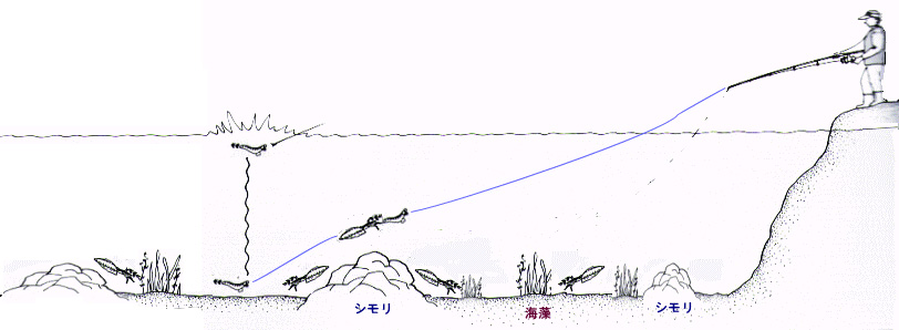 エギングイメージ00.jpg