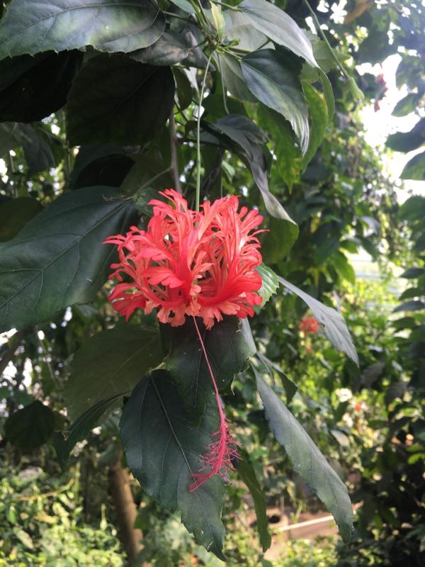 rblog-20190409235229-02.jpg