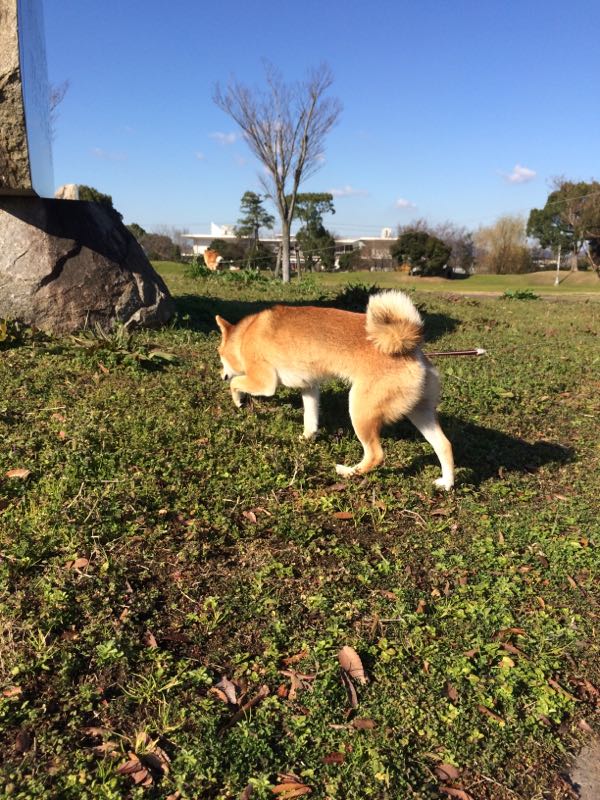 rblog-20161231022218-01.jpg