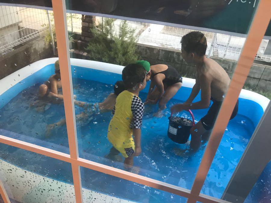 rblog-20180826095427-00.jpg