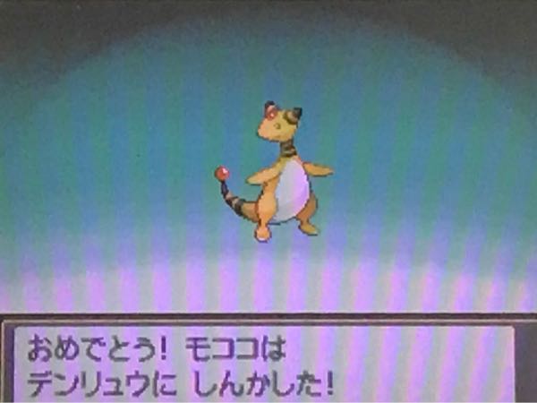 ポケモンhgss の記事一覧 たこやきのポケモンブログ 楽天ブログ