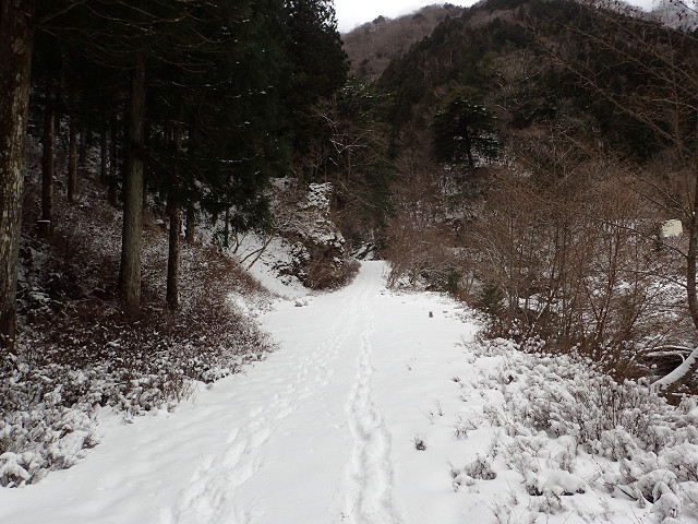 resize0003.jpg