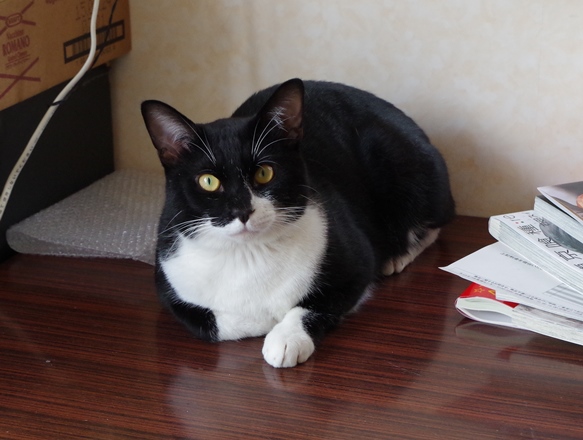 IMGP0461.JPG