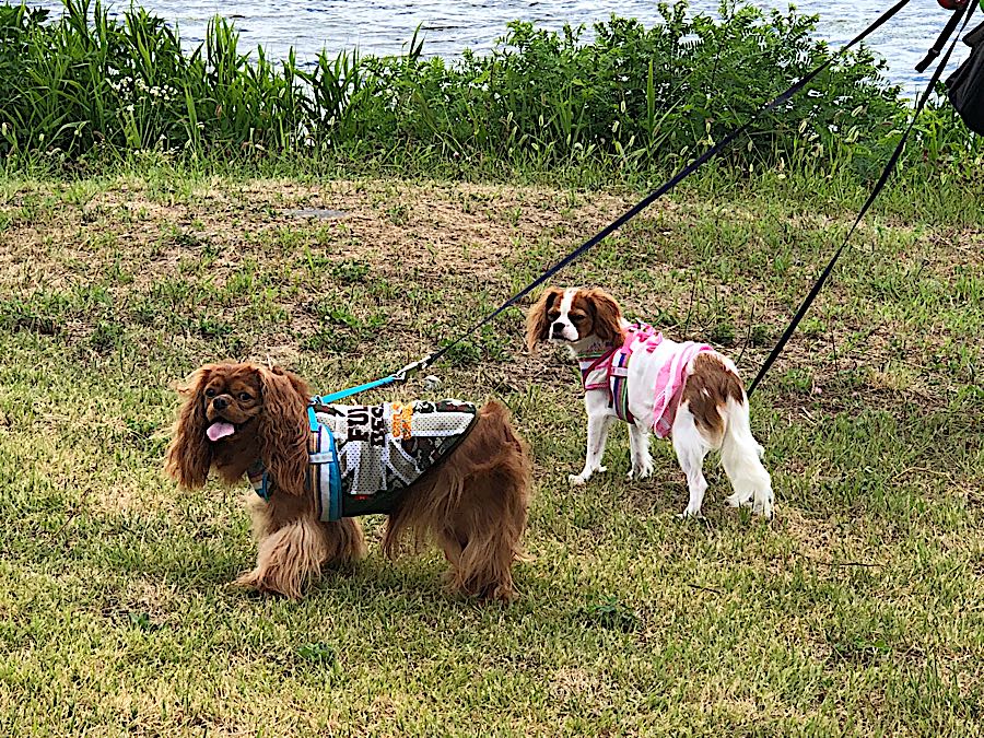 rblog-20180822205519-04.jpg
