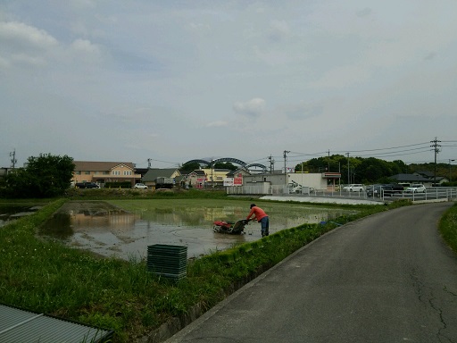 暑い中お疲れ様です