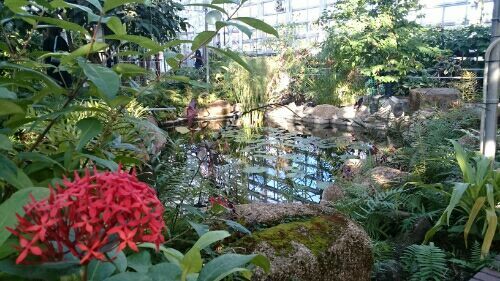 rblog-20171113175554-09.jpg