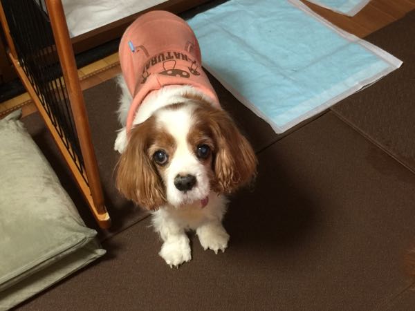 rblog-20151204093300-05.jpg