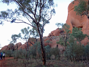 OZ909.jpg