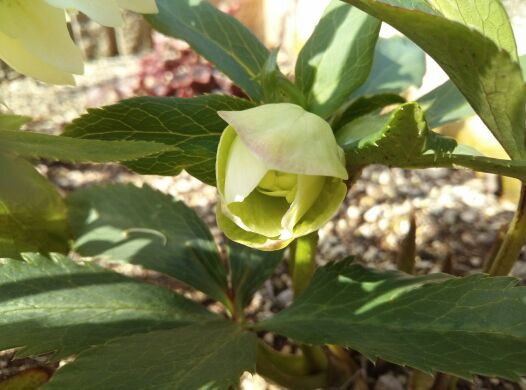 rblog-20140410125936-02.jpg