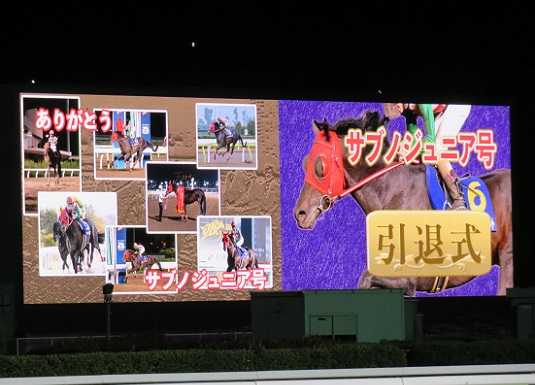 １週間の出来事 地方競馬の楽天競馬 日替わりライターブログ 楽天ブログ