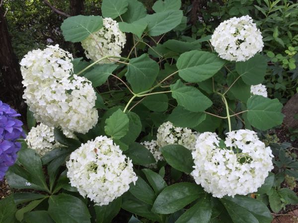rblog-20160625211621-08.jpg
