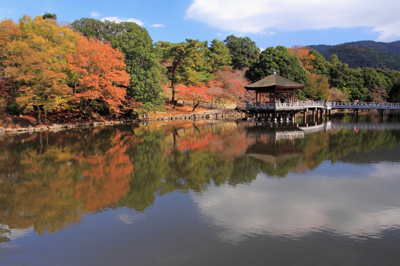 奈良公園・浮見堂_003.jpg