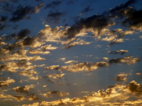 002 (500x375).jpg