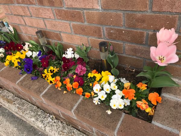 rblog-20180329003937-01.jpg