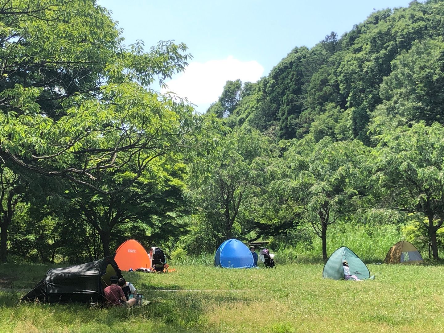 県立四季の森公園までランニング | カスタードのときたまダイアリー - 楽天ブログ