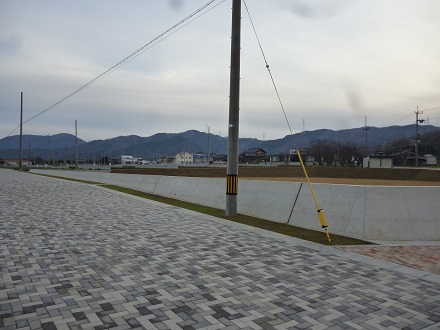 P1010534.jpg