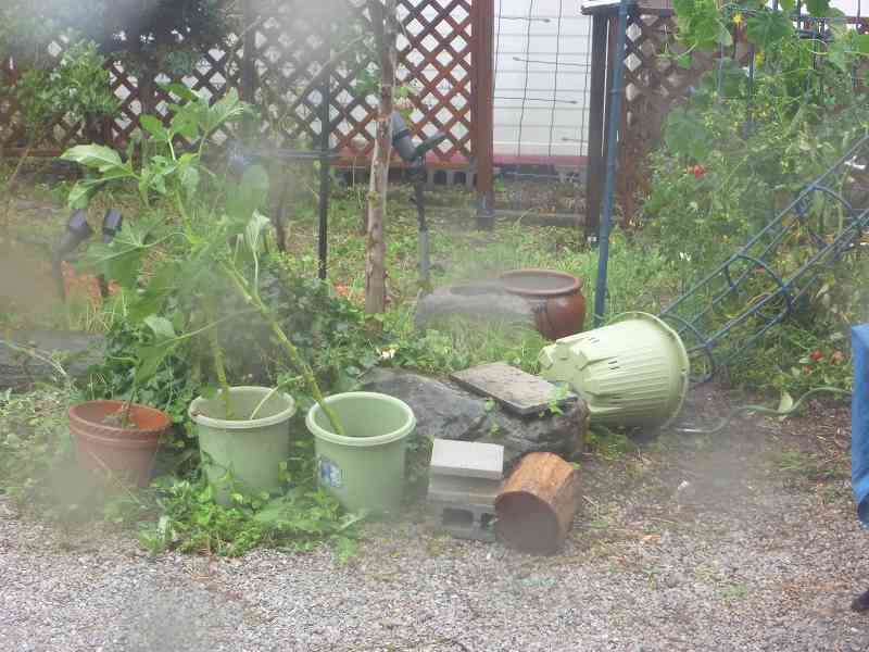 暴風雨。