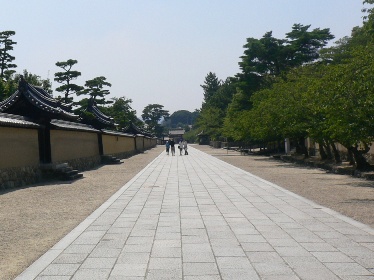 135.JPG
