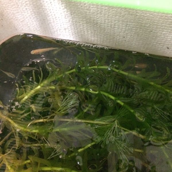 rblog-20150909183016-02.jpg