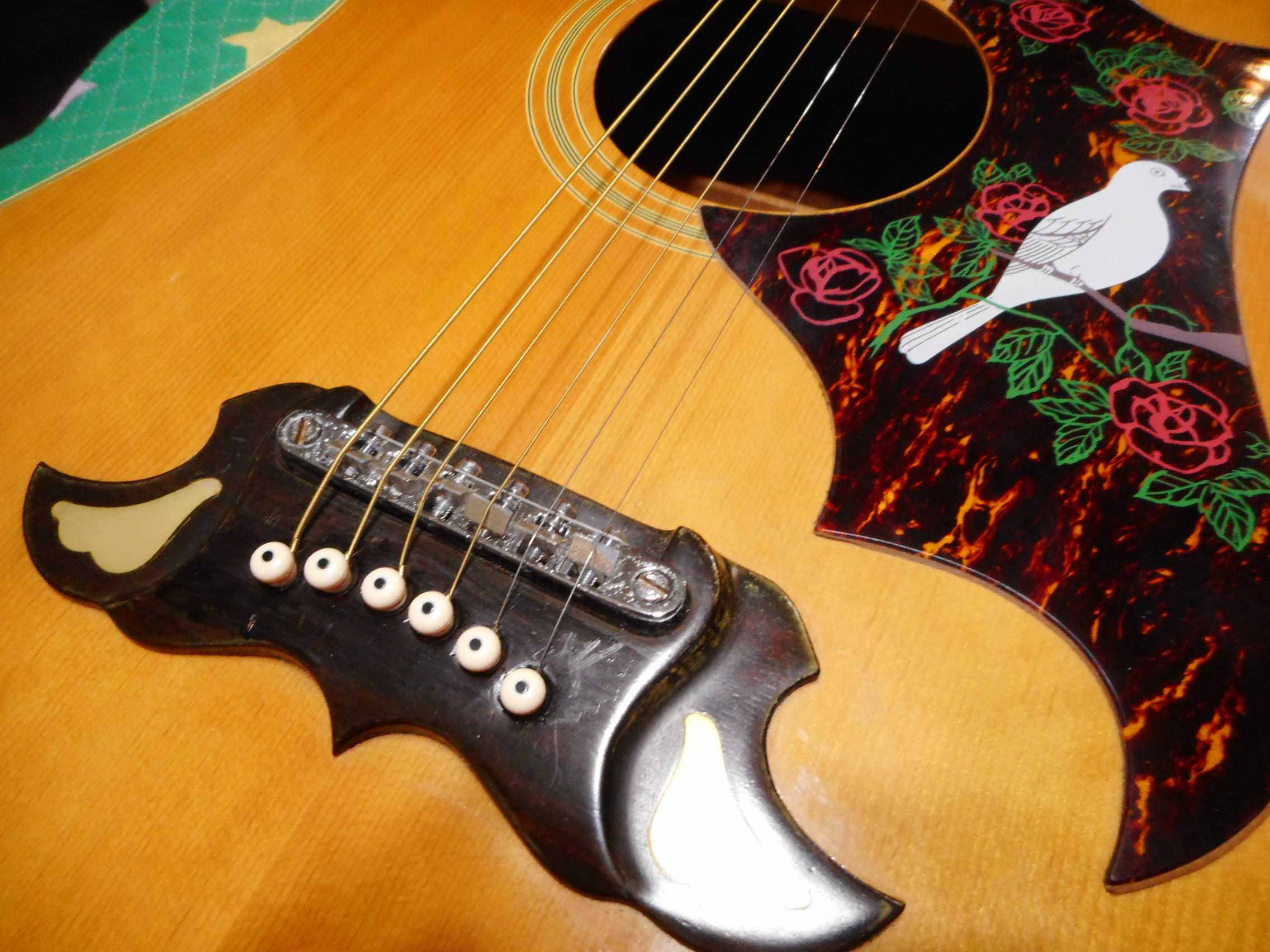トムソンアコースティックギター - アコースティックギター
