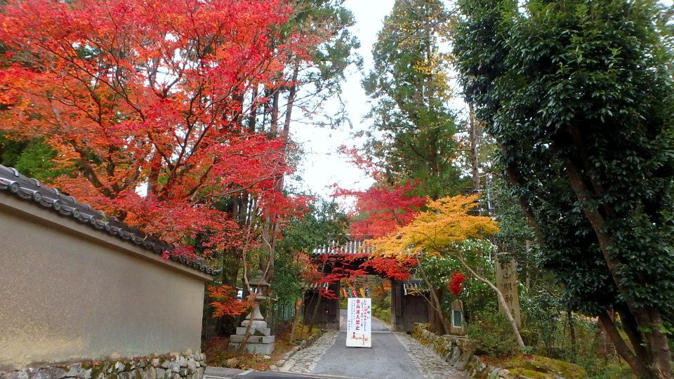 京都 紅葉 見納め紀行 7 赤山禅院 その１ 楽天版じぶん更新日記 楽天ブログ