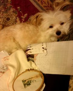 2012092122470000.jpg