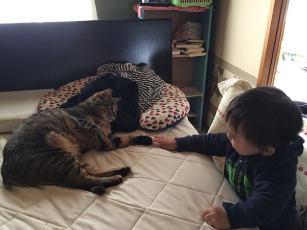 rblog-20150523215849-02.jpg