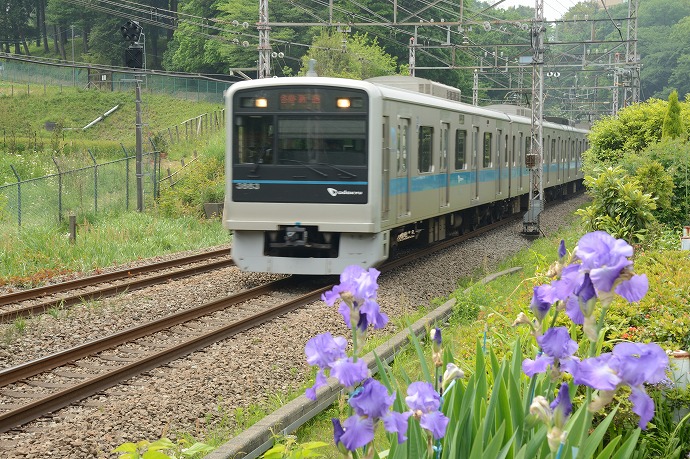鶴川-12