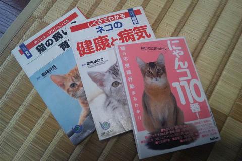 240722猫の本.JPG