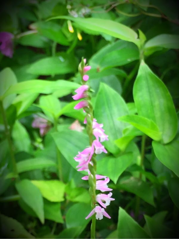 rblog-20160625183053-01.jpg