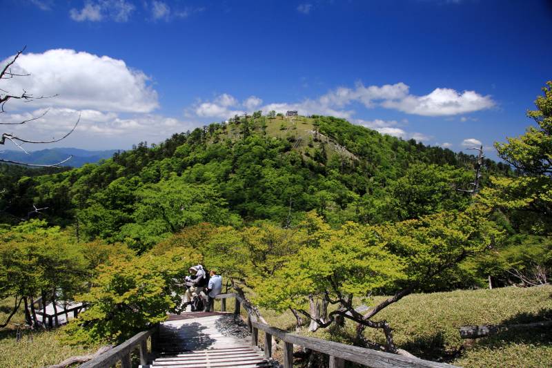 大台ケ原_002.jpg