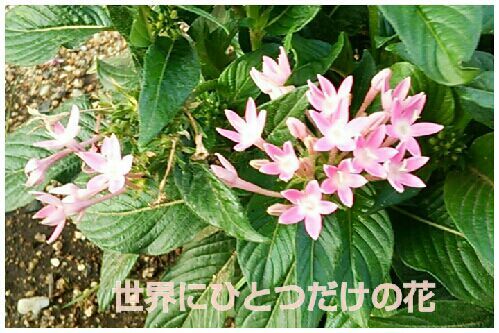 rblog-20161103092639-00.jpg