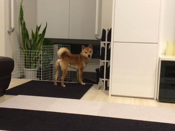 rblog-20160223093301-09.jpg